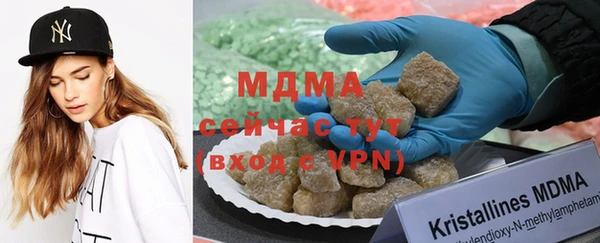 индика Алексин