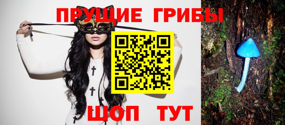 LSD-25 Новоалександровск